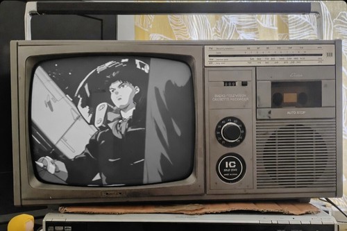 Sharp 12p 29h crt - sharp, b&w